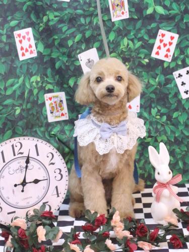 20250409レオくん